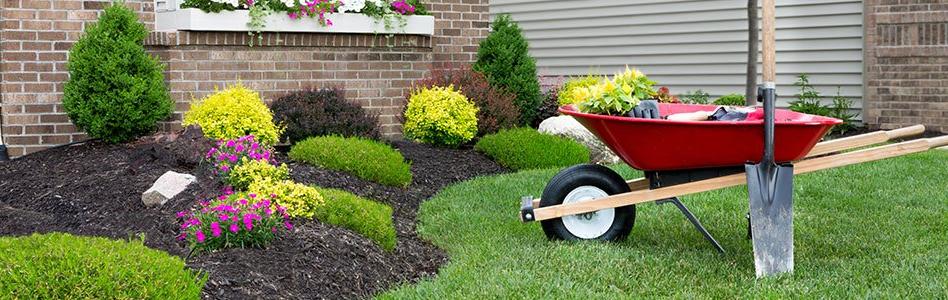 Water Smart Landscape with Red Wheel Barrow
